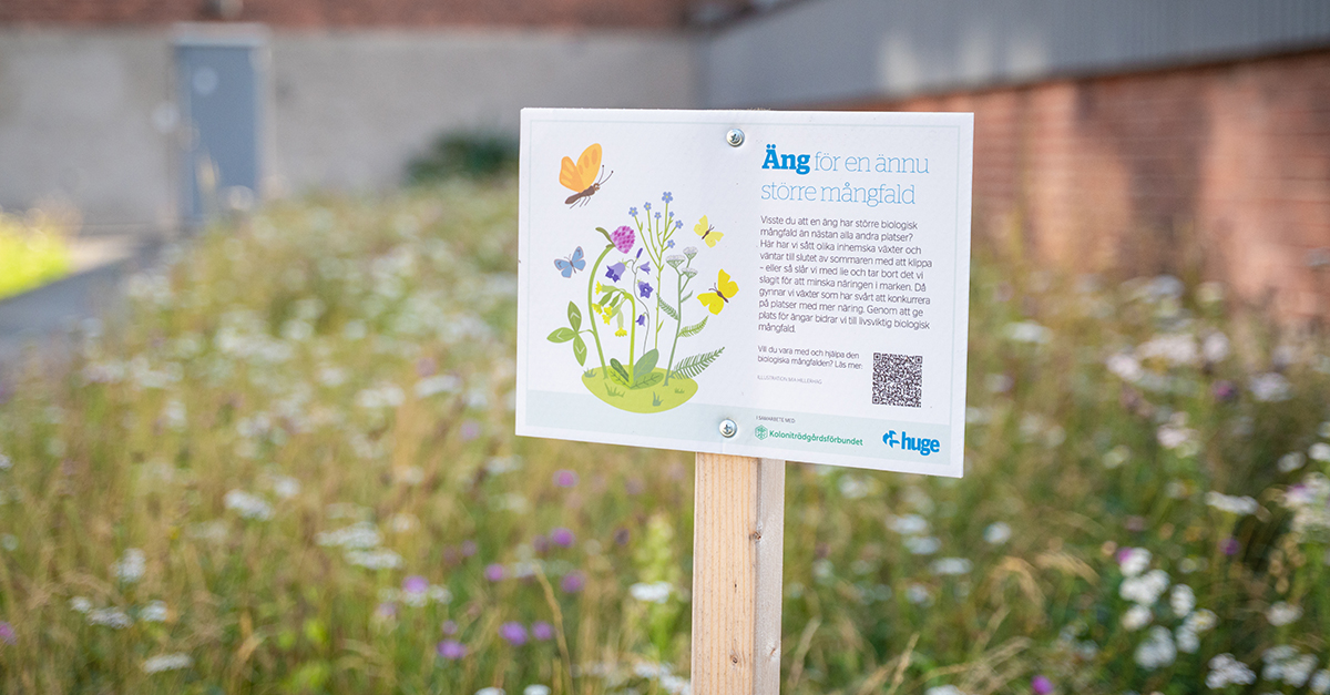 Skylt för ängsyta
