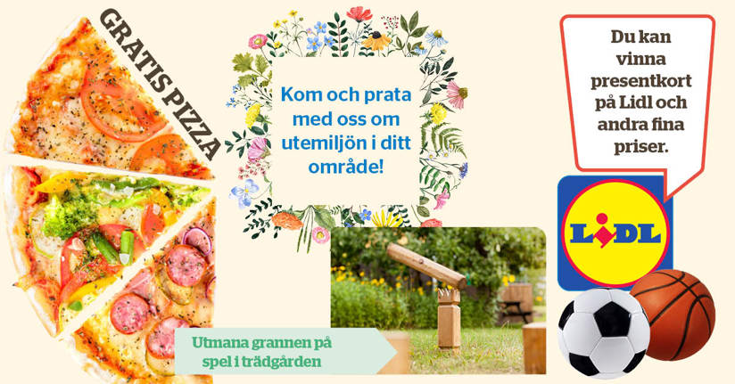 pizzaslize, blommor, kubb och basketboll och fotboll