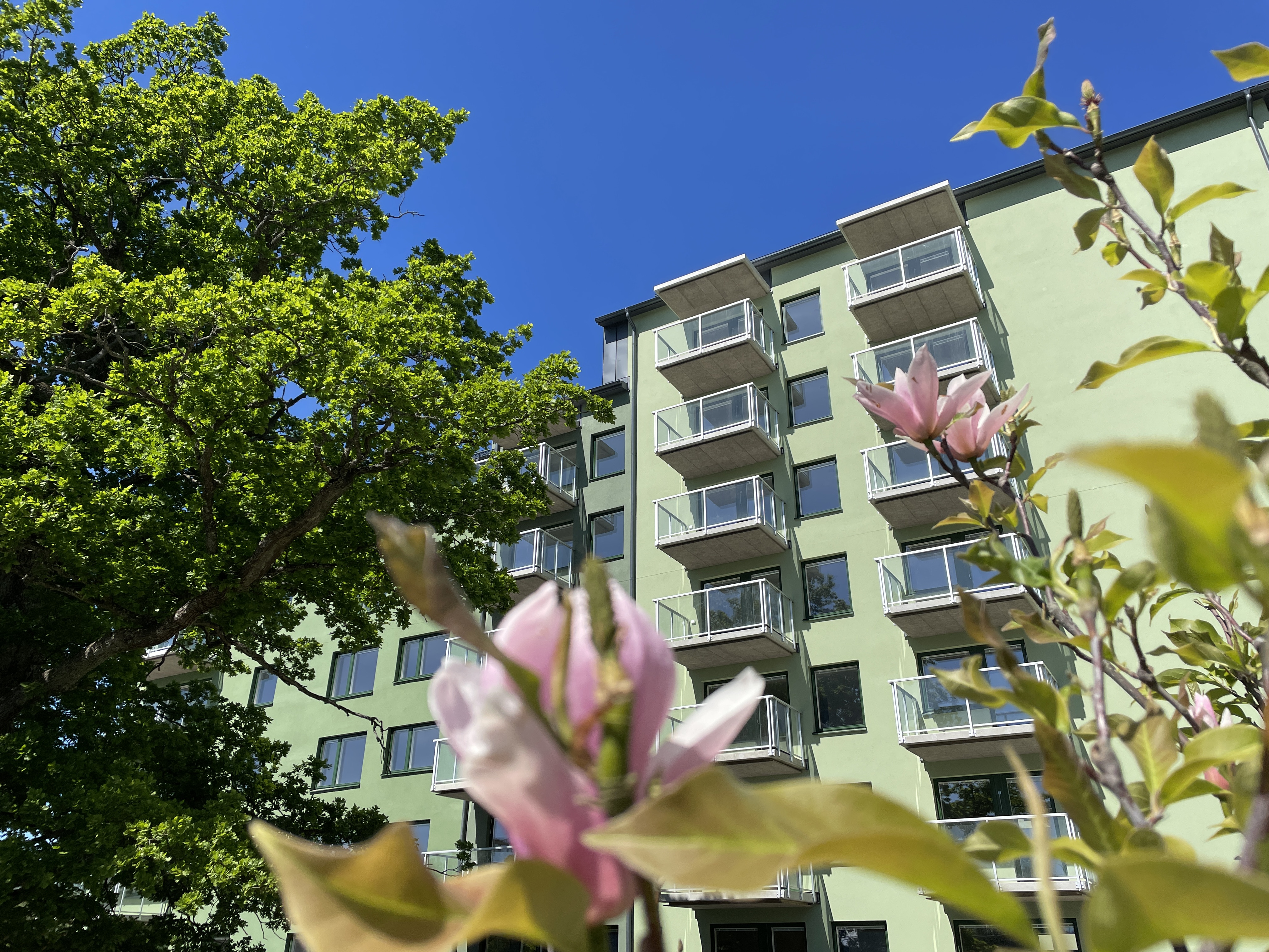 Grön fasad mot klarblå himmel