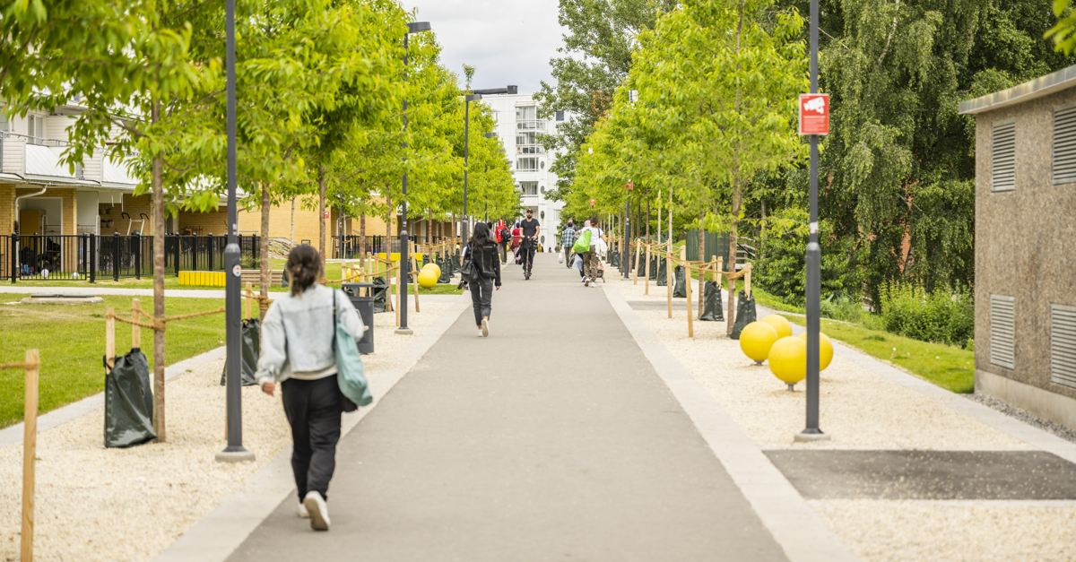 Gula gången i Flemingsberg 2022