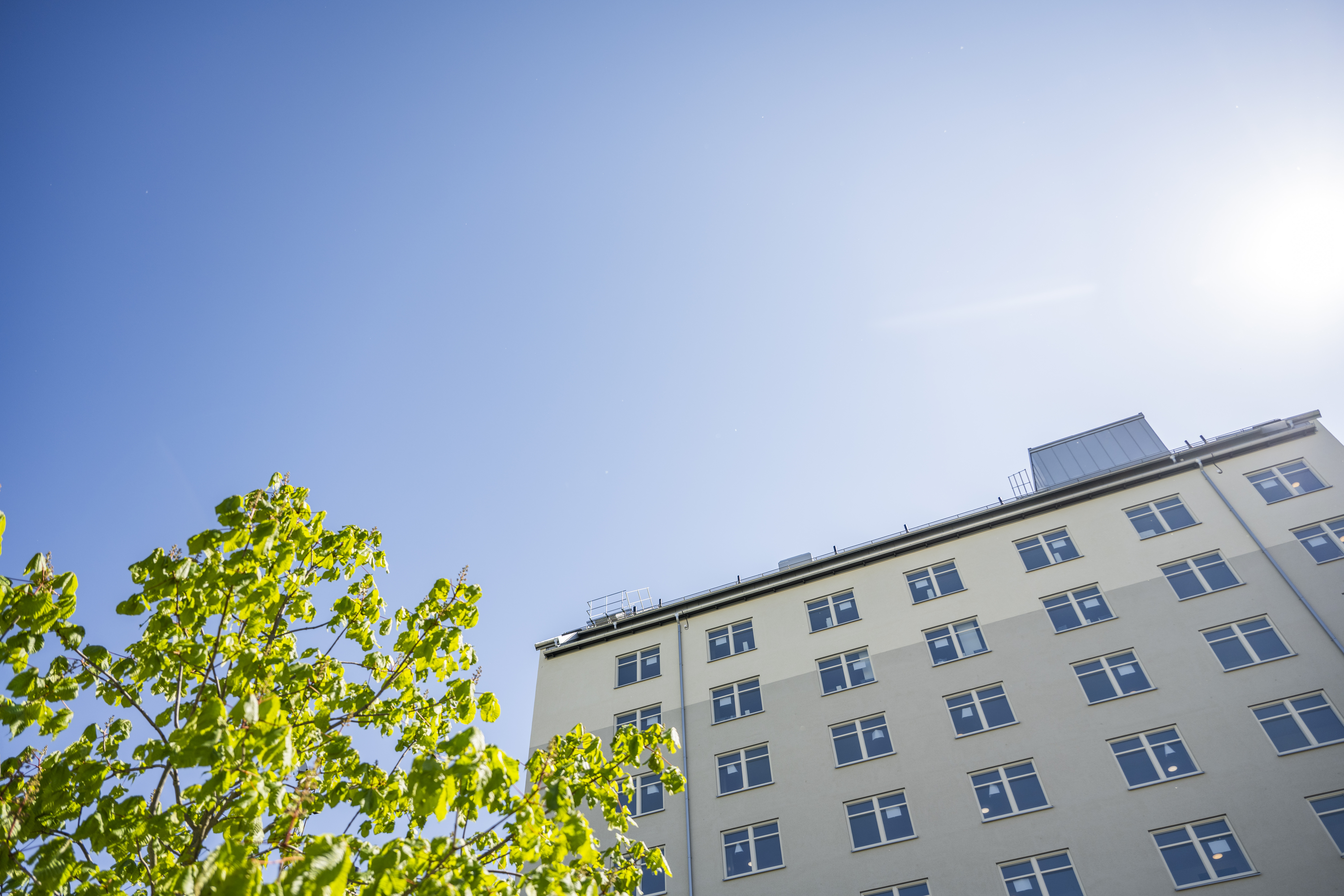 Nybyggt hus mot klarblå himmel och grönskande träd.