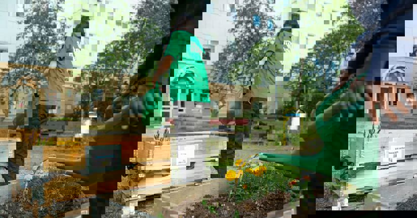 Unga sommarjobbare vattnar