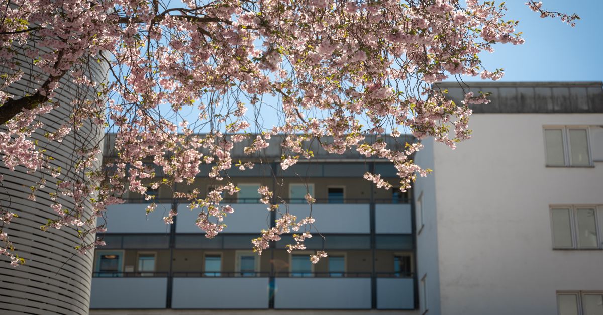 Forellvägen 10-14