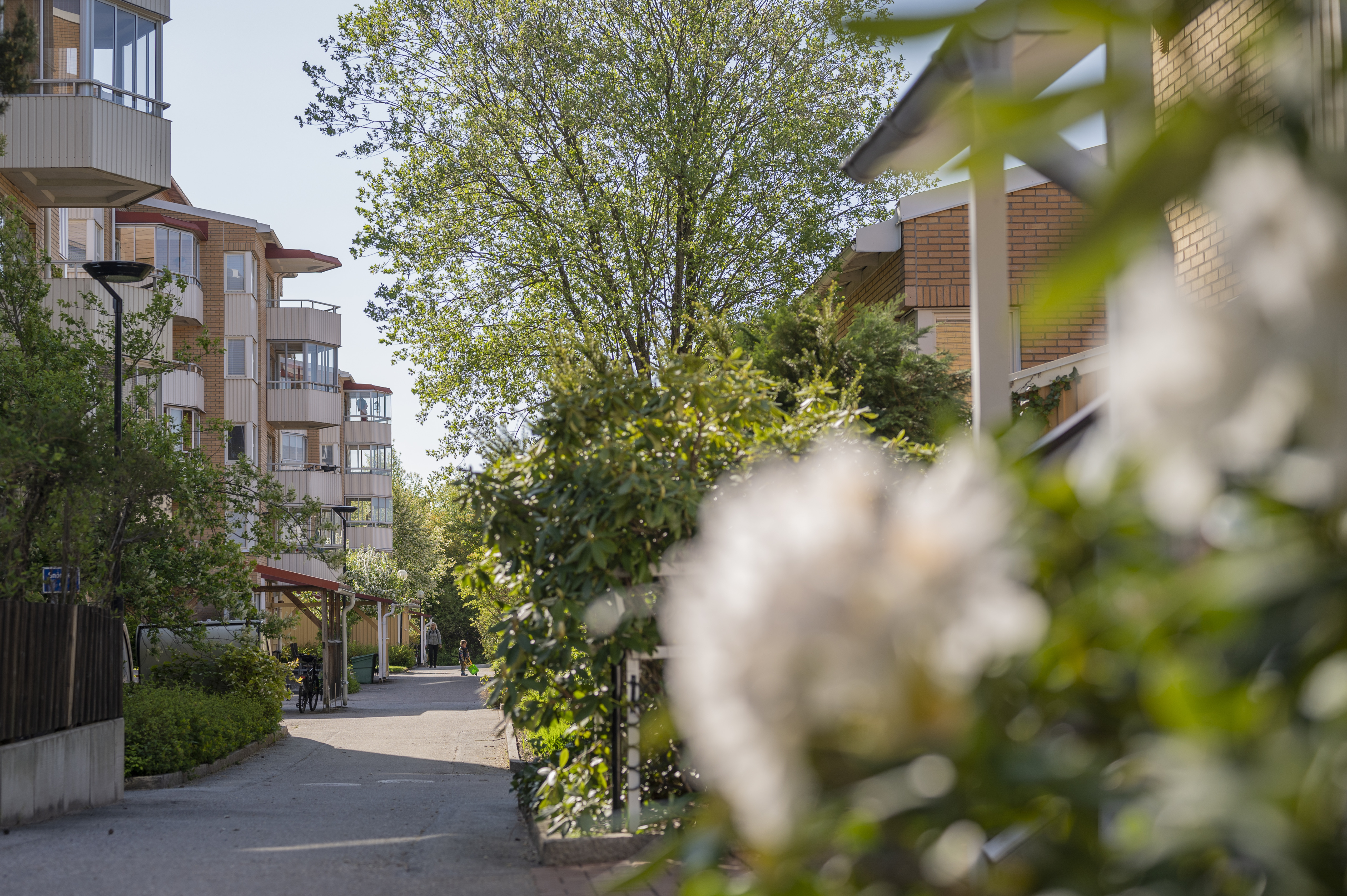 Exteriör miljö Rättartunet sommar
