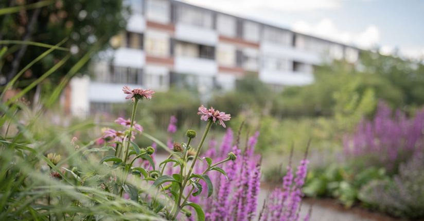 Parken Oasen i Vårby gård