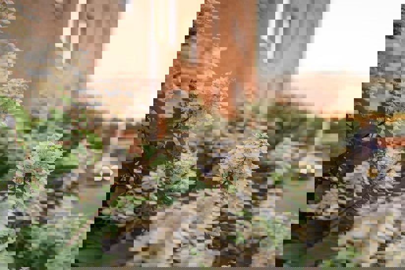 Ekonomisk hållbarhet 2024