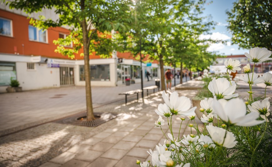 Trångsunds centrum