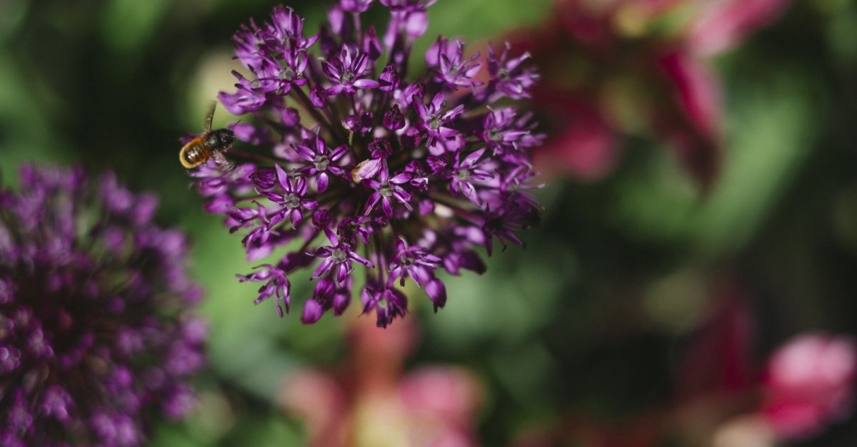 Huge 210602 PRINT 0030